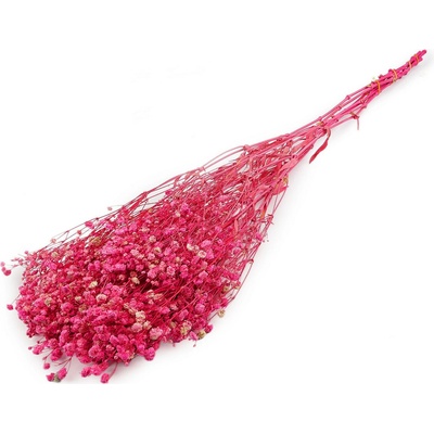 Prima-obchod Stabilizovaný nevěstin závoj svazek, barva 1 pink