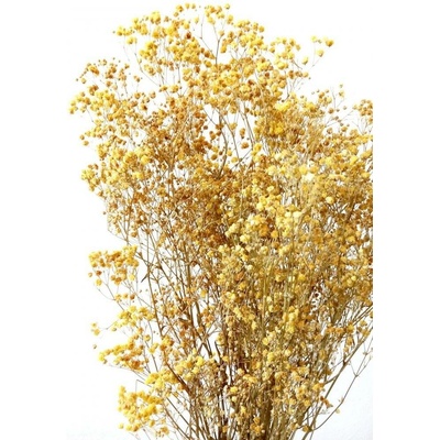 Nevěstin závoj/stabilizovaná Gypsophila svazek/kytice žlutá drobná 45g
