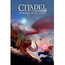 Citadel: Forged With Fire