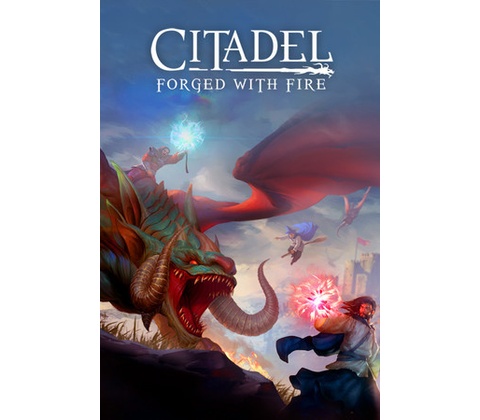 Citadel: Forged With Fire