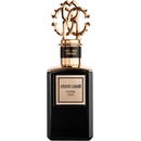 Roberto Cavalli Divine Oud EDP 100 ml Tester