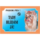 Plaček Tabulka Tady hlídám! Jorkšírský teriér