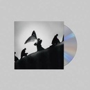 BLAKE, JAMES - PLAYING ROBOTS INTO HEAVEN CD
