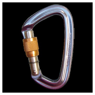 Black Diamond Positron Screwgate