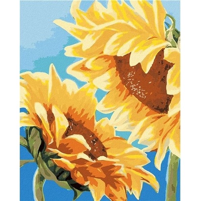 zuty Malování Podle Čísel Dvě Slunečnice Myroslava Voloschuk 40 x 50 Cm Plátno Rám