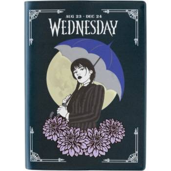 Image 1 of NNM дневник wednesday - 2023/2024 - 17 МЕСЕЦА - aeesva62308