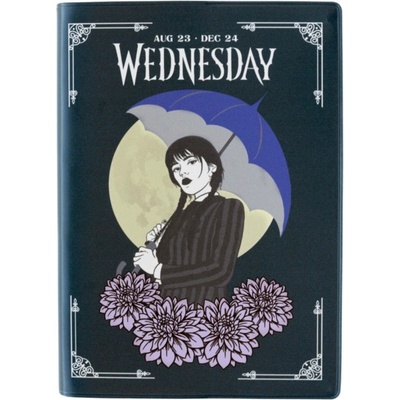 NNM дневник wednesday - 2023/2024 - 17 МЕСЕЦА - aeesva62308