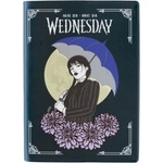 NNM дневник wednesday - 2023/2024 - 17 МЕСЕЦА - aeesva62308