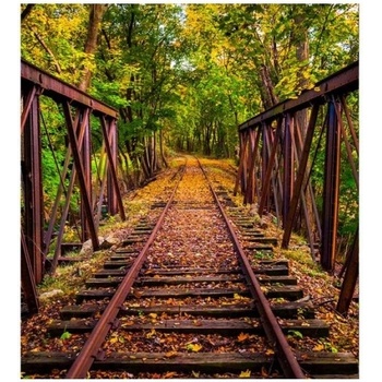 DIMEX ART s. r. o Флизелинов фототапет железопътна линия в гората 225 x 250 см