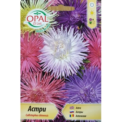 Opal Zi Астри Игловидни Микс