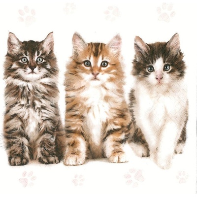 Ubrousek 33x33cm Kočky tři – Hledejceny.cz