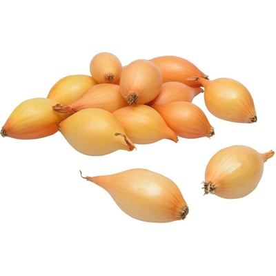 Cibule sazečka ozimá Augusta váha: 100g
