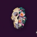 Nighttime Stories - Pelican CD