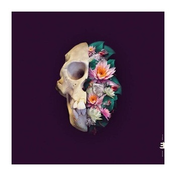 Nighttime Stories - Pelican CD