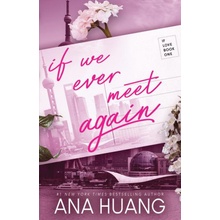 If We Ever Meet Again