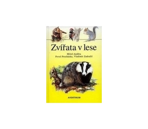 Zvířata v lese
