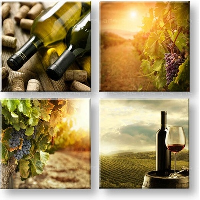 Obraz na stenu Meeting in the vineyard - 40x40 cm
