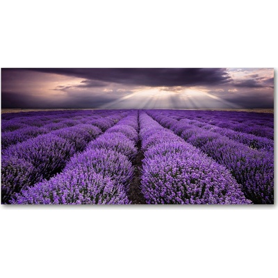 Foto obraz sklo tvrzené pole levanduľa 100x50 cm