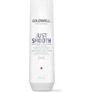 Goldwell Dualsenses Just Smooth Taming Shampoo 1000 ml