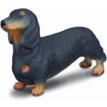 CollectA Dog breed Dachshund 88185 COLLECTA