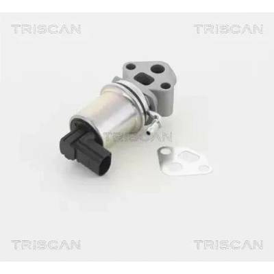 TRISCAN AGR ventil TRI 8813 29007