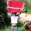 Ear - Rumspringa CD
