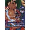 What is the Dharma?