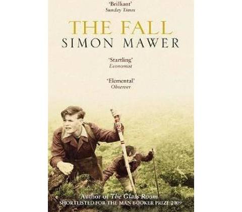 The Fall - Simon Mawer