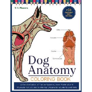 Dog Anatomy Coloring Book (2026)