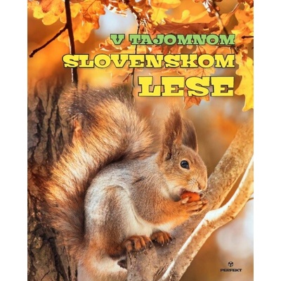 V tajomnom slovenskom lese