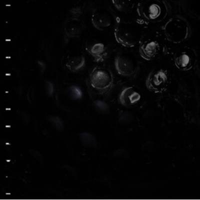 Ice Melt - Crumb LP