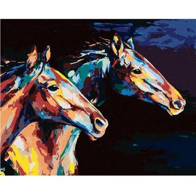 zuty Malování Podle Čísel Dva Barevní Koně V Běhu 80 x 100 Cm Plátno