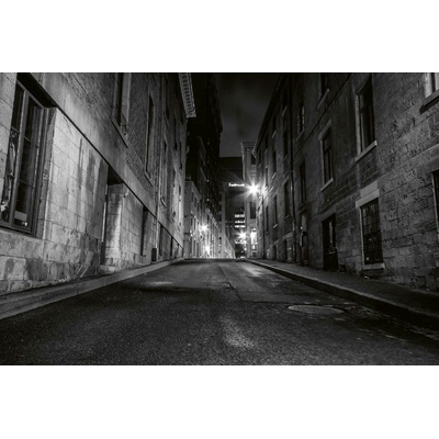 DIMEX ART Флизелинов фототапет старинен монреал 375 x 250 см