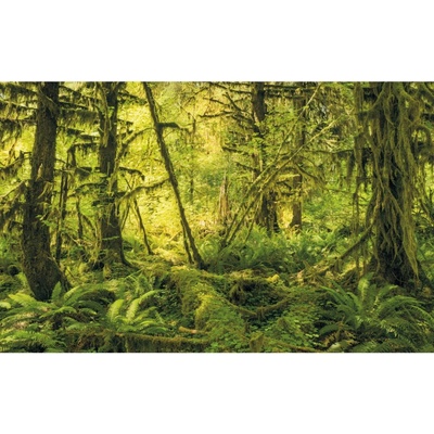 Komar Vliesová fototapeta Ancient World rozměry 400 x 250 cm