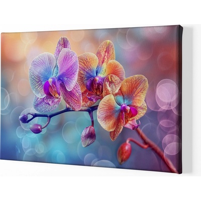 Obraz na plátně - Orchidej, tři bratři FeelHappy.cz Velikost obrazu (šířka x výška): 120 x 80 cm