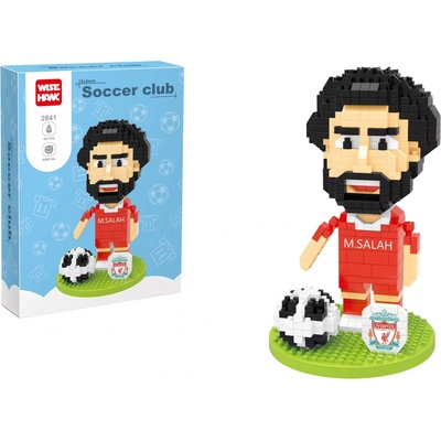 Wise Hawk Mohamed Salah