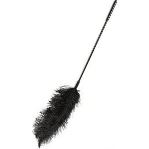 Hidden Desire Extreme Double Feather Tickler Black
