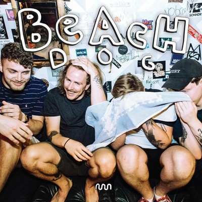 BEACHDOG - CRAWL IN PIECES, Vinyl