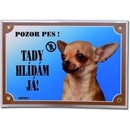 Dafiko Tabulka Čivava