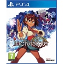 Indivisible