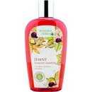 Bohemia Herbs Castanum vlasový šampon s extraktem z koňského kaštanu 250 ml