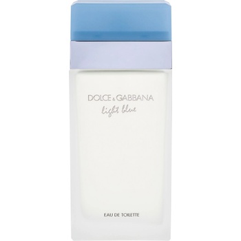 Dolce & Gabbana Light Blue toaletní voda dámská 100 ml