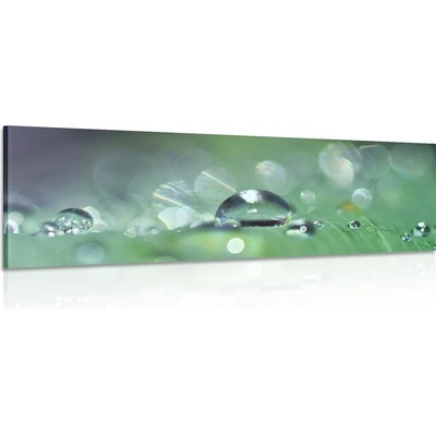Obraz kapka rosy - 90x30