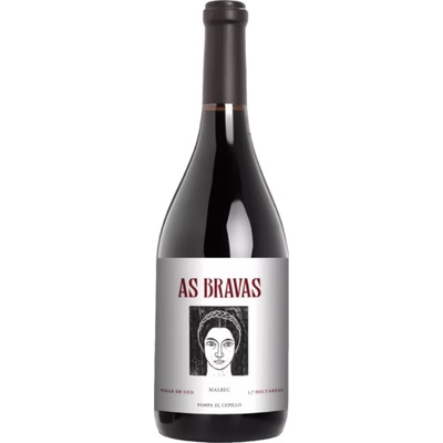 El Enemigo As Bravas Malbec 2018 Červené 13,5% 0,75 l (holá láhev)