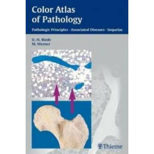 Color Atlas of Pathology | Riede, U. -N (ISBN: 9783131277817)