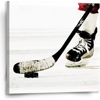 Sablio Obraz Lední hokej - 50x50 cm – Hledejceny.cz