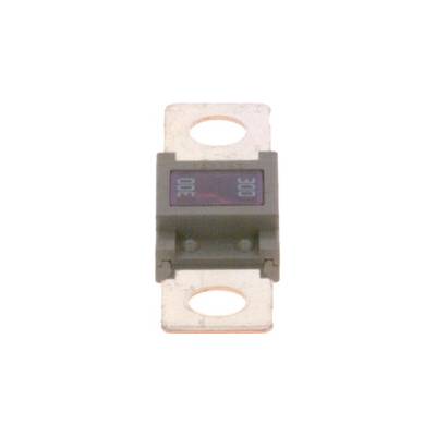 Poistka BOSCH 1 987 531 007