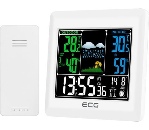 ECG MS 300