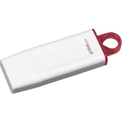Kingston KC-U2G256-5R