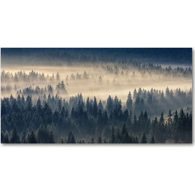 Foto obraz fotografie na skle Hmla nad lesom 100x50 cm